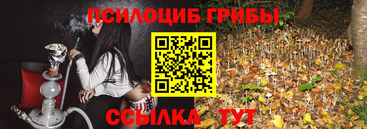 Псилоцибиновые грибы MAGIC MUSHROOMS  закладки  Вход с VPN  Тайшет  Галлюциногенные грибы GOLDEN TEACHER 